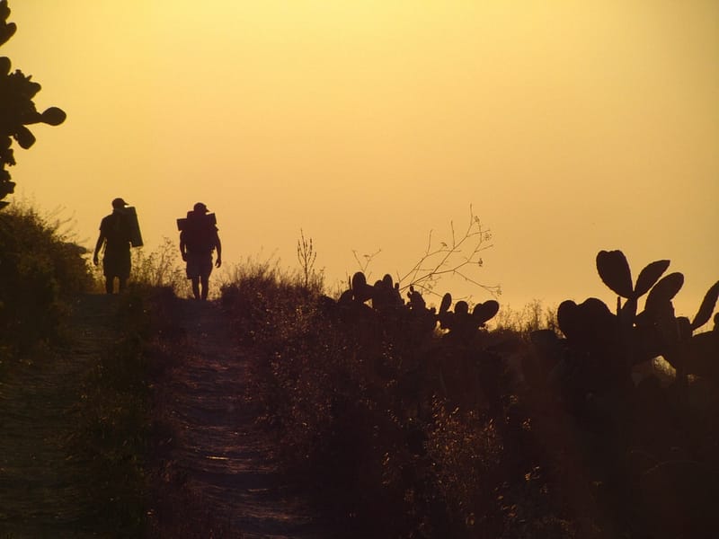 Two people walking down a trail at sunset.