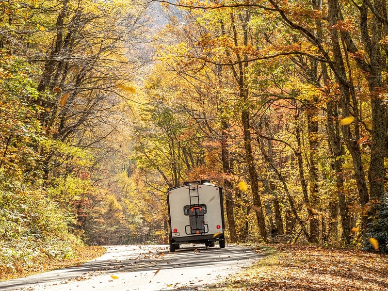 A truck driving down a fall road in the woods.