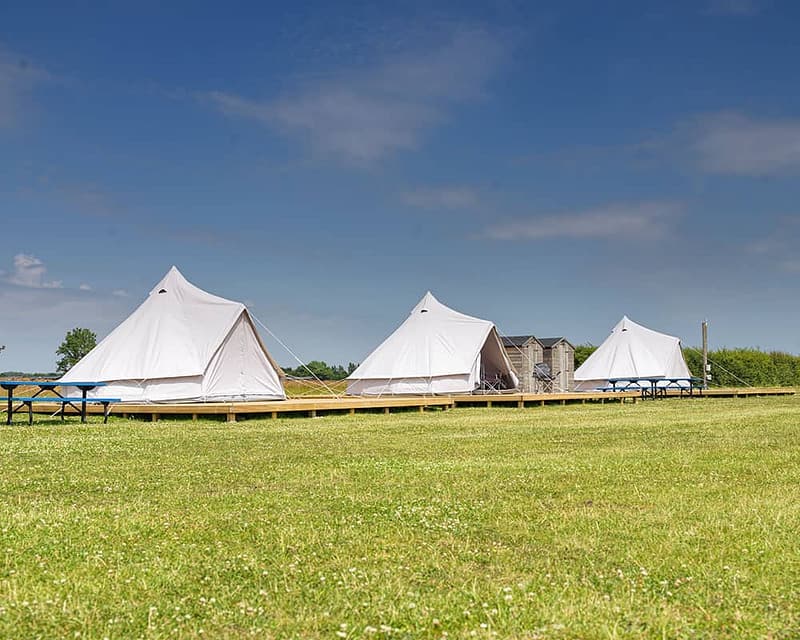 Stonham Barns Park, a popular destination for visitors, unveils a new addition to its attractions - a group of tents on a grassy field. Responding to visitor demand, the