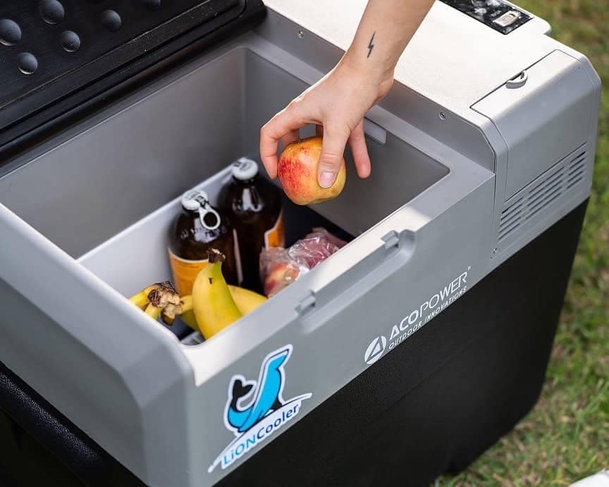 A person holding a LionCooler Pro, a portable freezer powered by battery and solar energy, with fruit inside.
