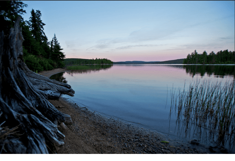 A serene lake at dusk, featuring a solitary tree stump on the tranquil shore within Ontario Parks.