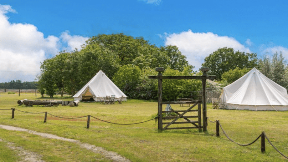 A group of white tents in a field, perfect for glamping at Brackenside Stables.