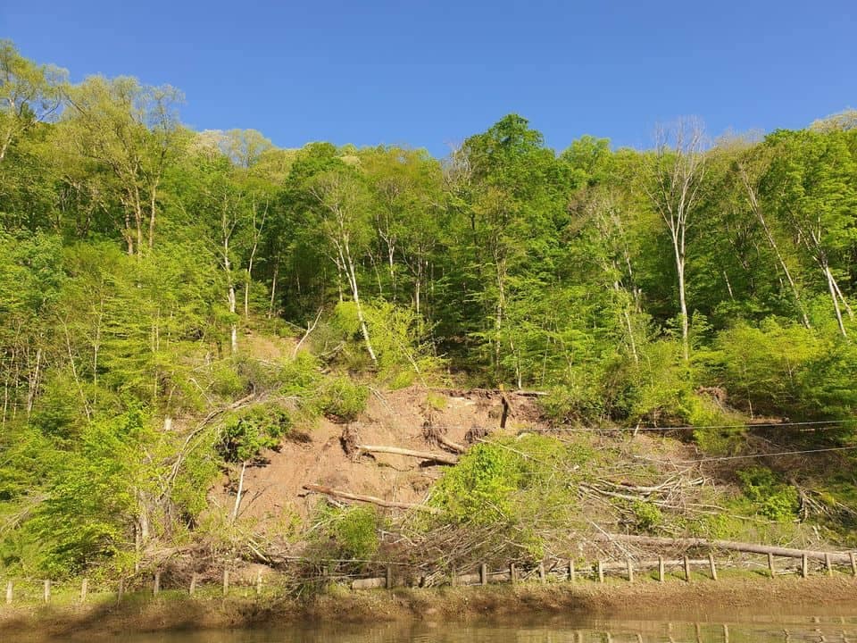 A hillside with trees and a river in the background near East Lynn Lake.