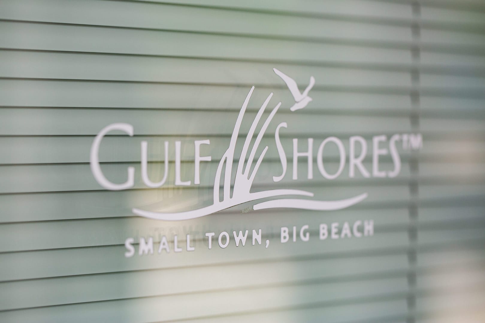 GulfShores-358