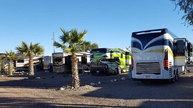 Several large RVs are parked in a lot with gravel ground and small palm trees under a clear blue sky.